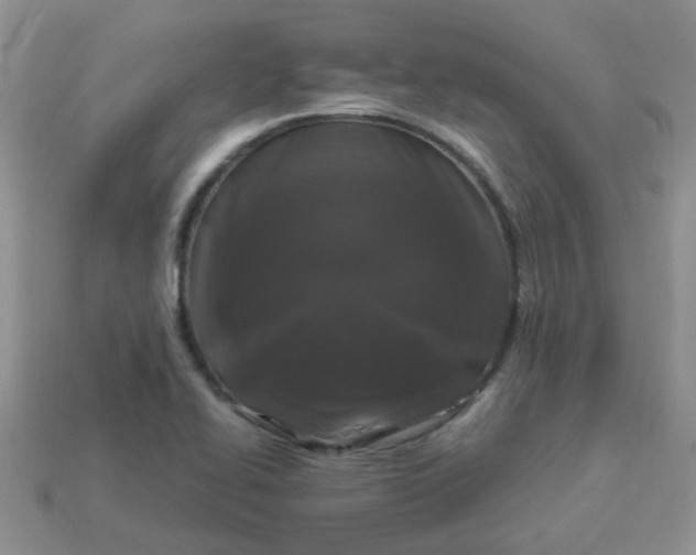 X0000113021414200909101828
