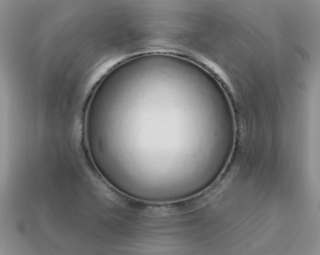X0000113021415200909101828