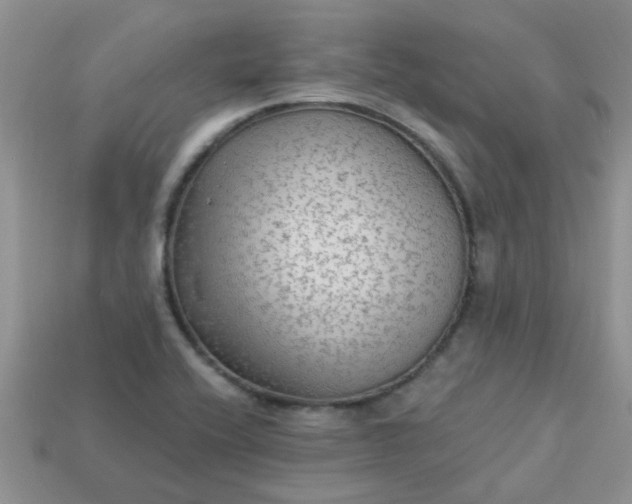 X0000113021416200909101828