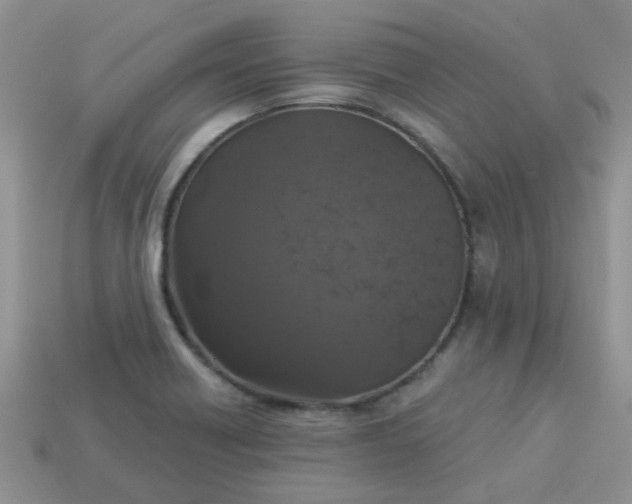X0000113021418200909101829