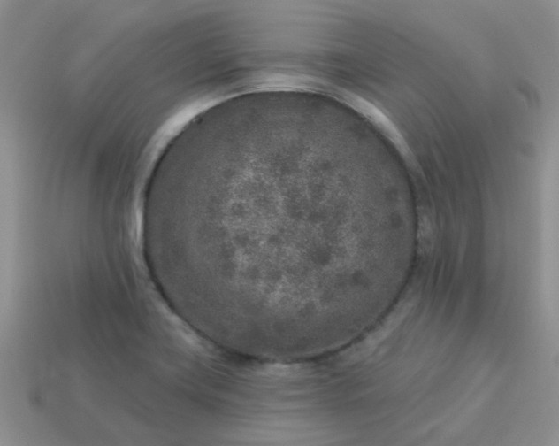 X0000113021419200909101829