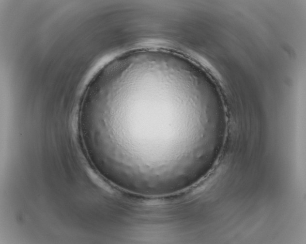 X0000113021421200909101829