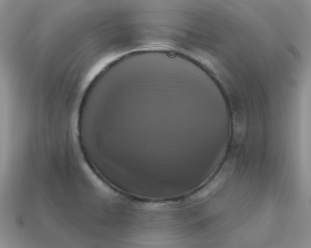 X0000113021422200909101829