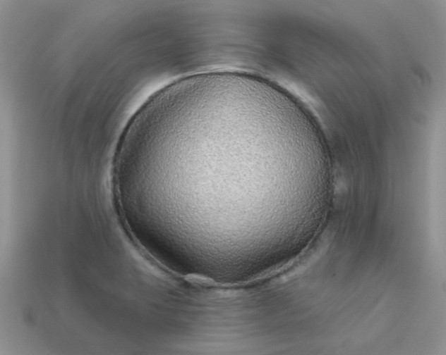 X0000113021423200909101829