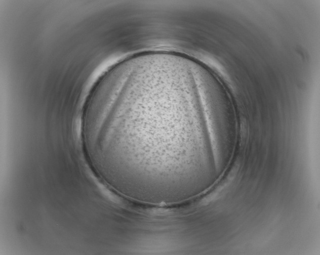 X0000113021424200909101829