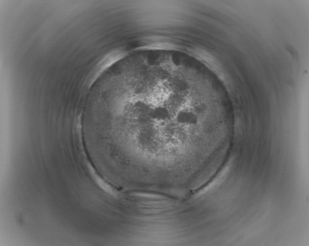 X0000113021425200909101829