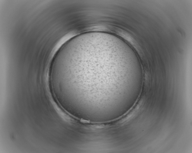 X0000113021426200909101829