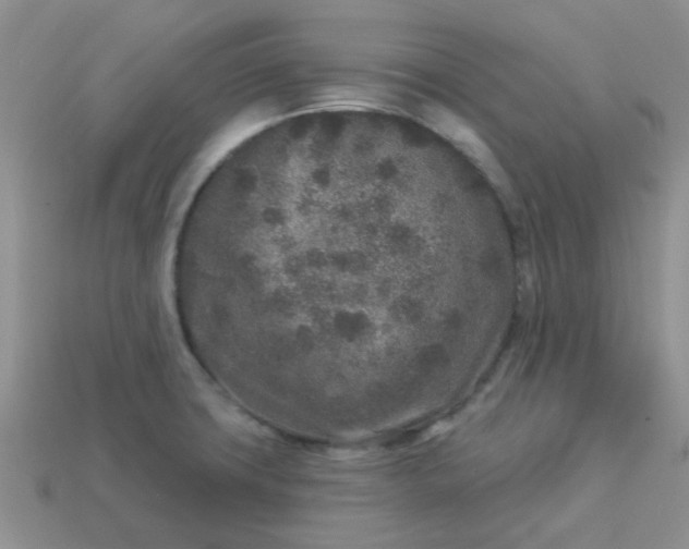 X0000113021427200909101829