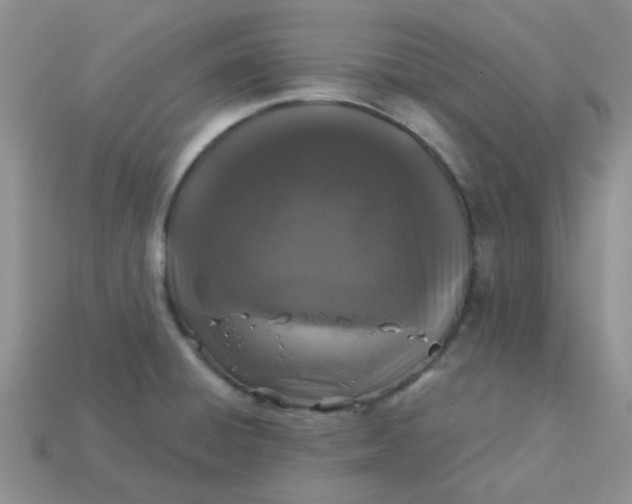 X0000113021428200909101829
