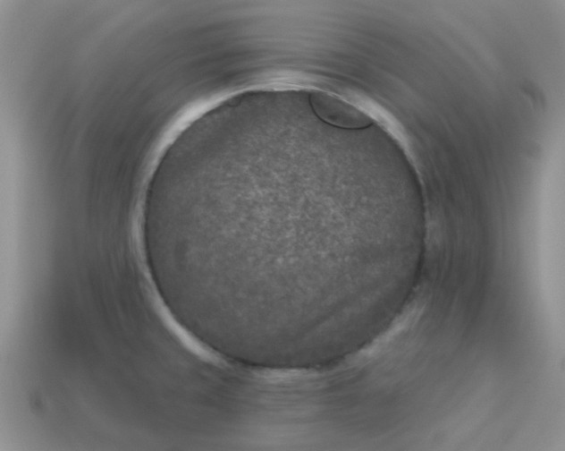 X0000113021429200909101829