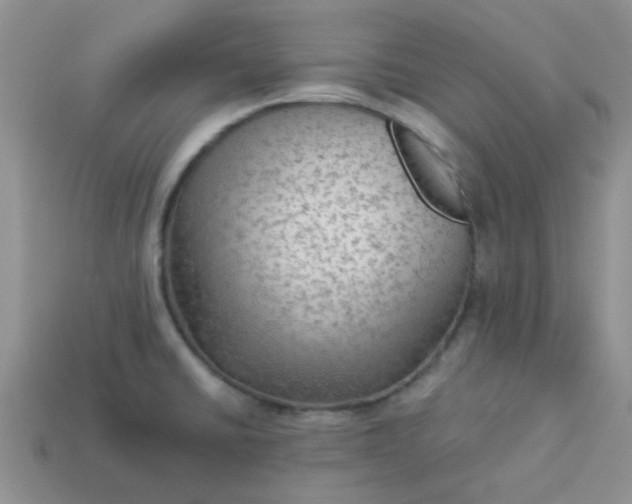 X0000113021430200909101829