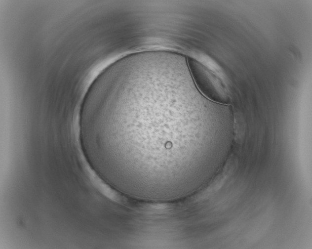 X0000113021431200909101829