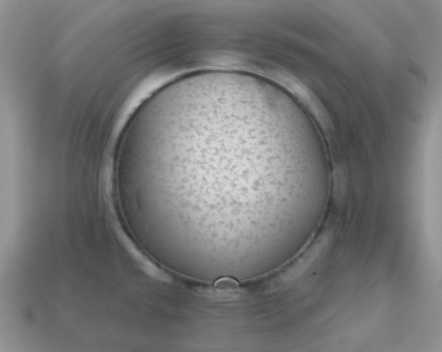 X0000113021432200909101829
