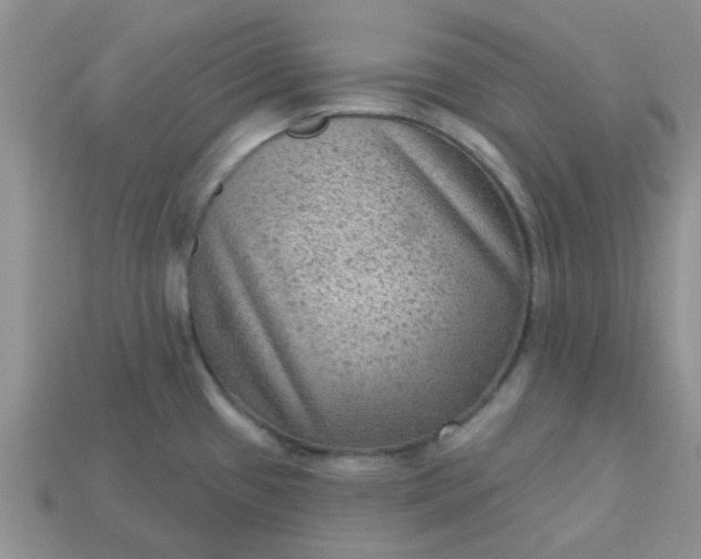 X0000113021433200909101829