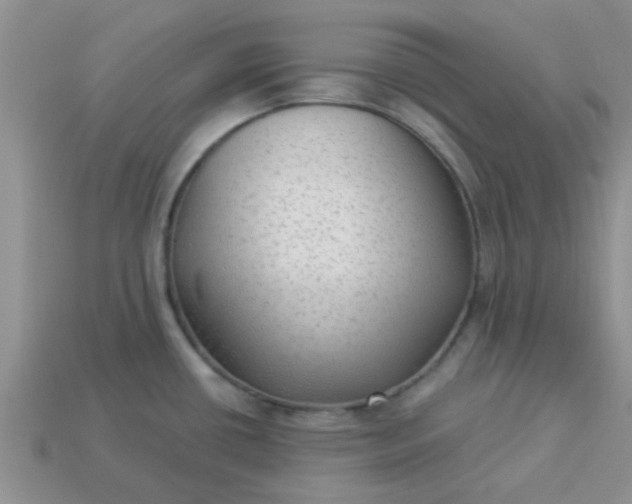X0000113021434200909101829