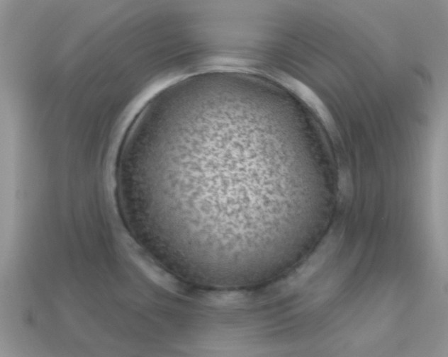 X0000113021435200909101829