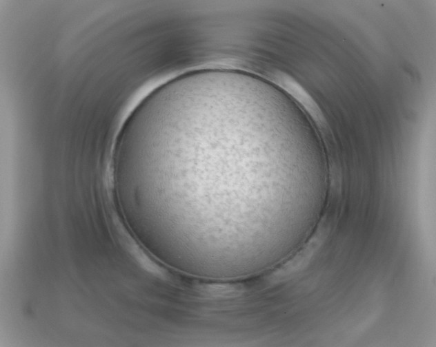 X0000113021436200909101829