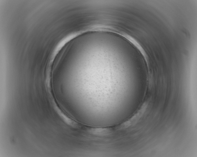 X0000113021437200909101829
