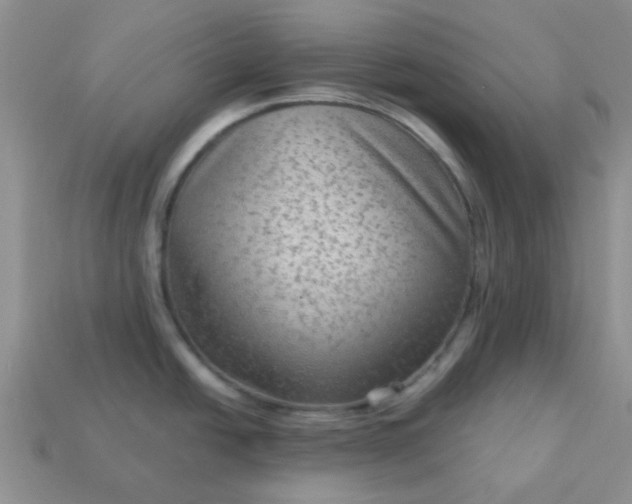 X0000113021438200909101829