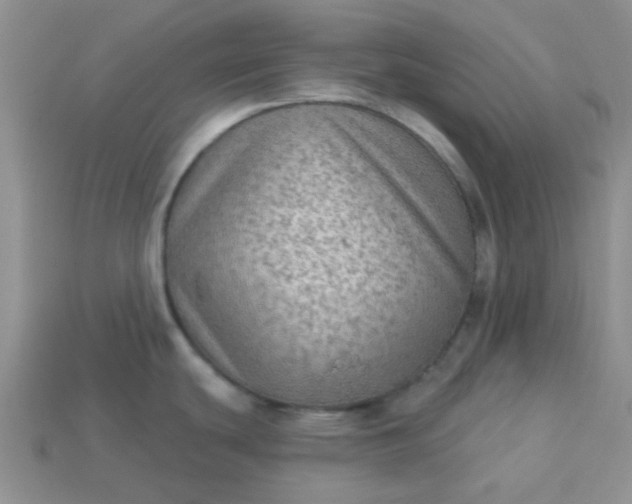 X0000113021439200909101829