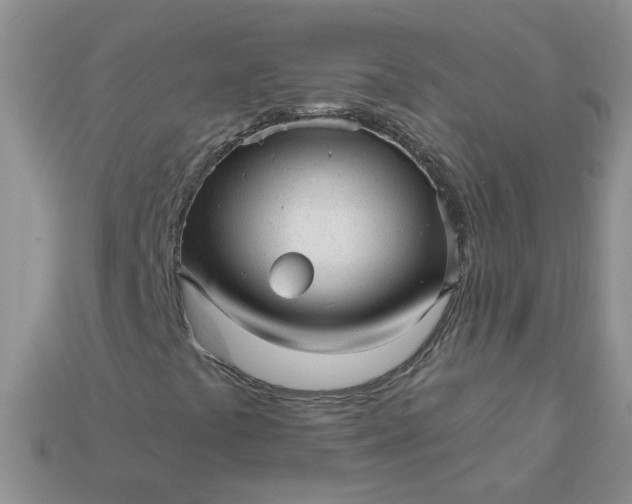 X0000113021441200909101828
