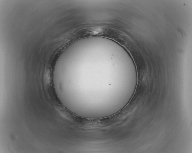 X0000113021442200909101828