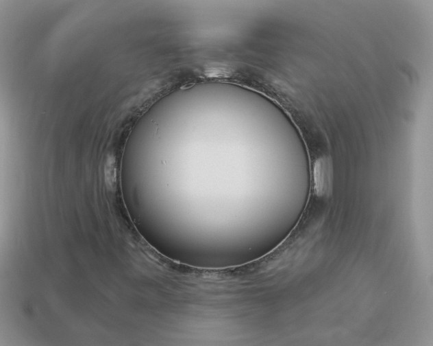 X0000113021443200909101828