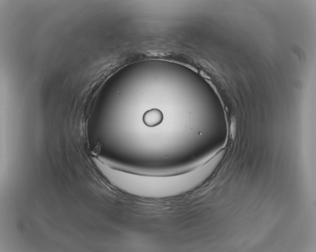 X0000113021444200909101828