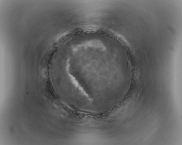 X0000113021445200909101828