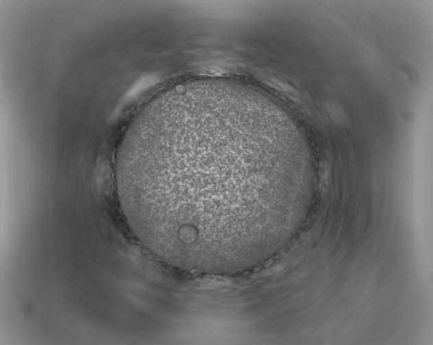 X0000113021446200909101828