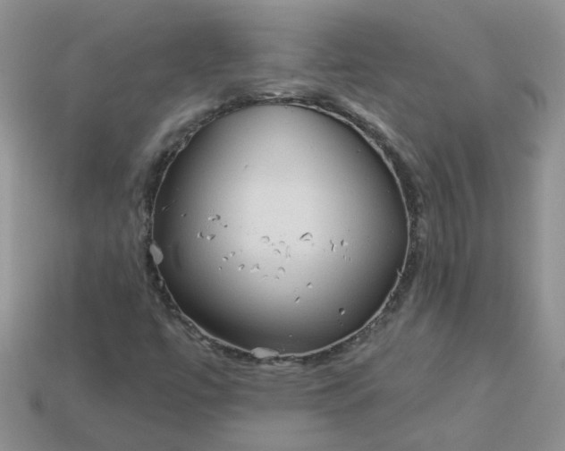 X0000113021447200909101828