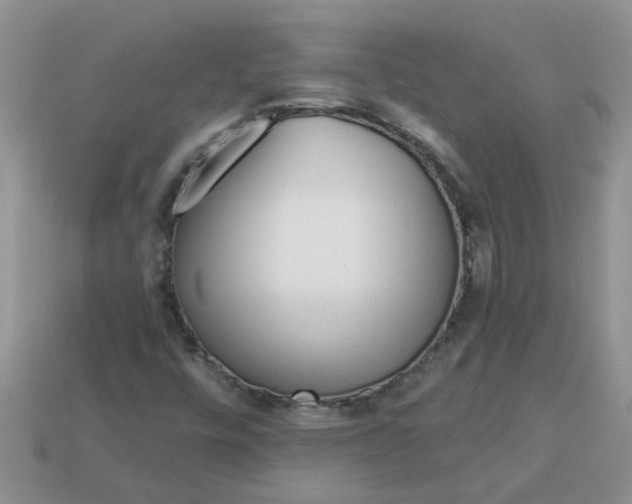X0000113021448200909101828