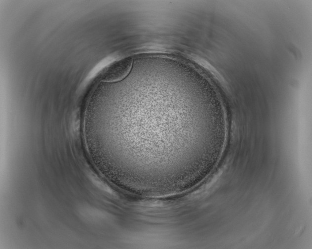 X0000113021450200909101828