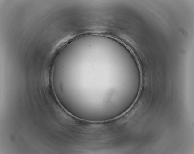 X0000113021451200909101828