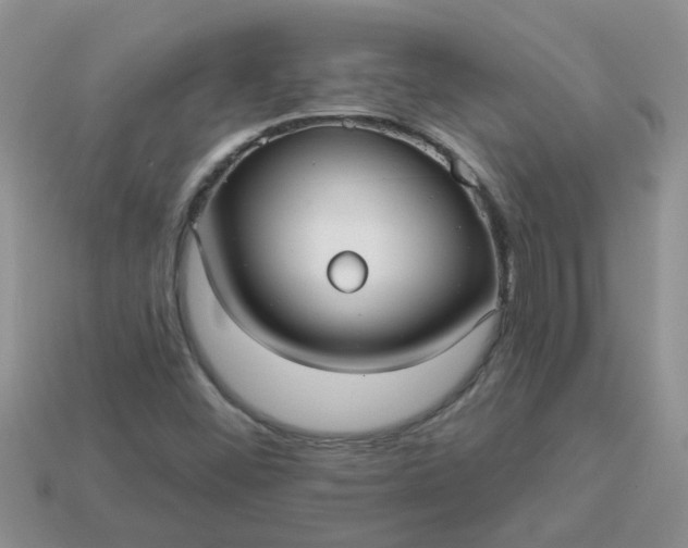 X0000113021452200909101828