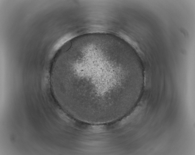 X0000113021453200909101828