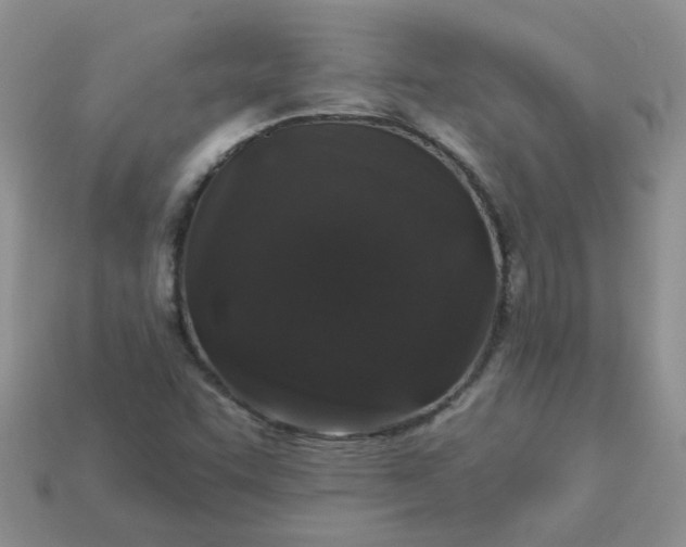 X0000113021455200909101828