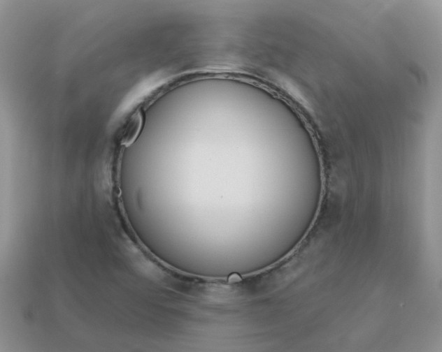 X0000113021456200909101828