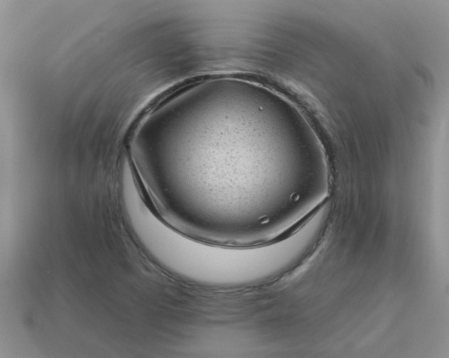 X0000113021457200909101828