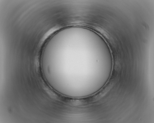 X0000113021458200909101828