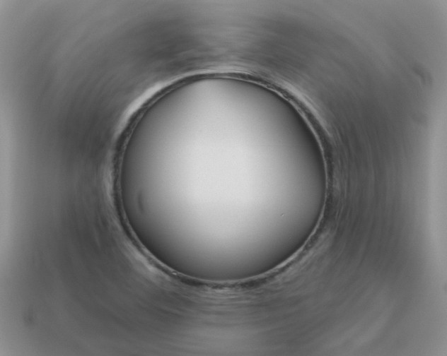 X0000113021460200909101828
