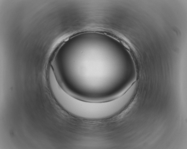 X0000113021461200909101828