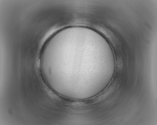 X0000113021462200909101828