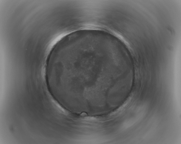 X0000113021463200909101828