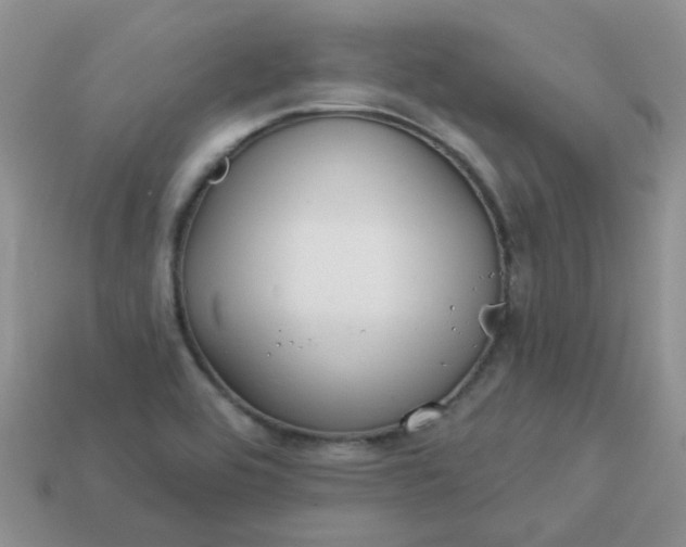 X0000113021464200909101828