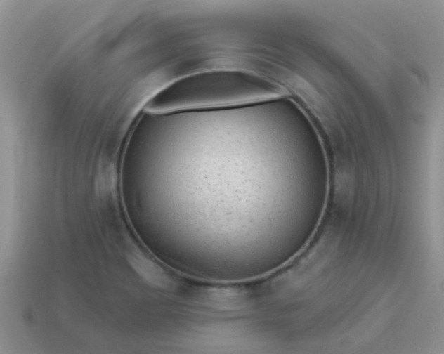 X0000113021465200909101828