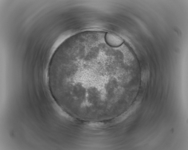 X0000113021466200909101828