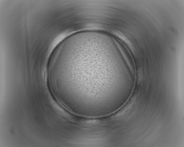 X0000113021467200909101828