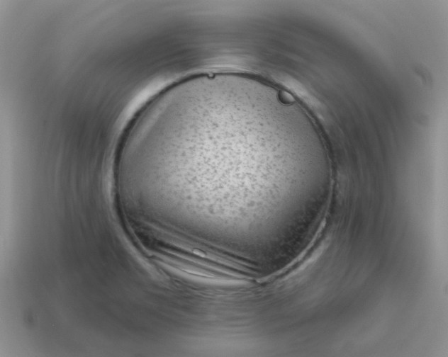 X0000113021469200909101828