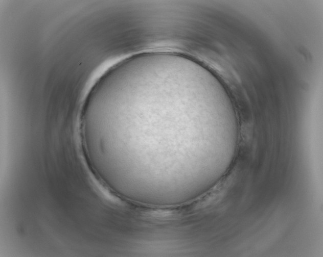 X0000113021470200909101828